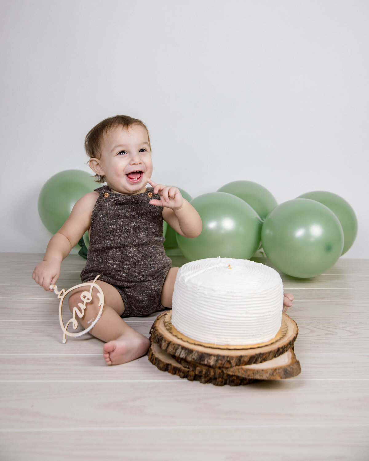 one year cake smash in chicago