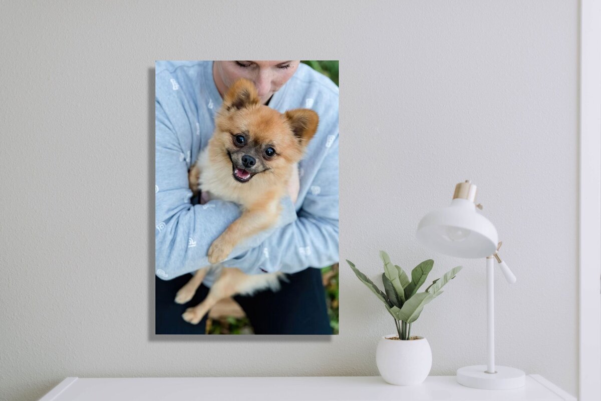 picture of woman holding a pomeranian