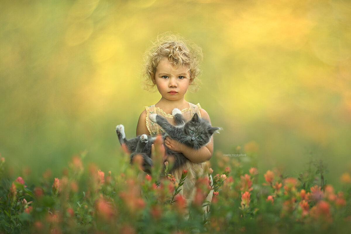Child holding kitten in flower meadow.
