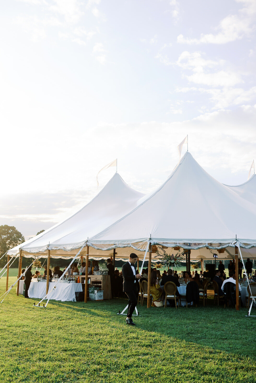 Wedding Reception Photography at Whitehall in Annapolis 14