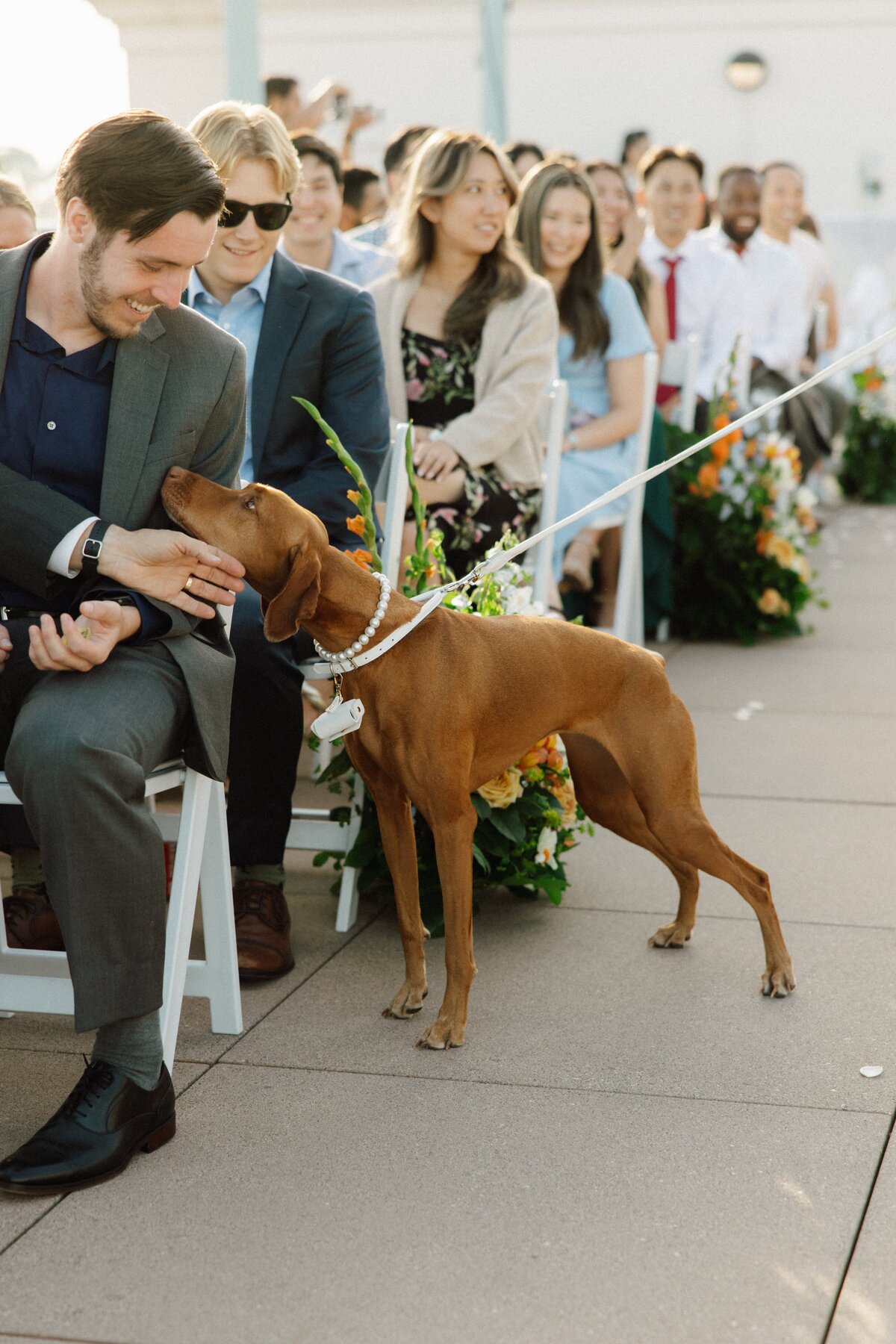 markanddianewedding-195-min