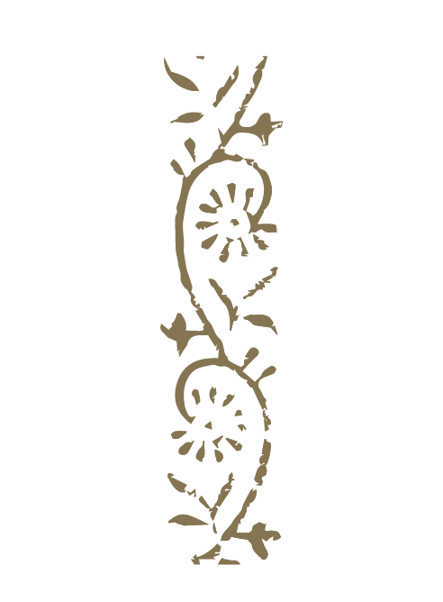 CCC_Templ_Body Illustrations 2-9