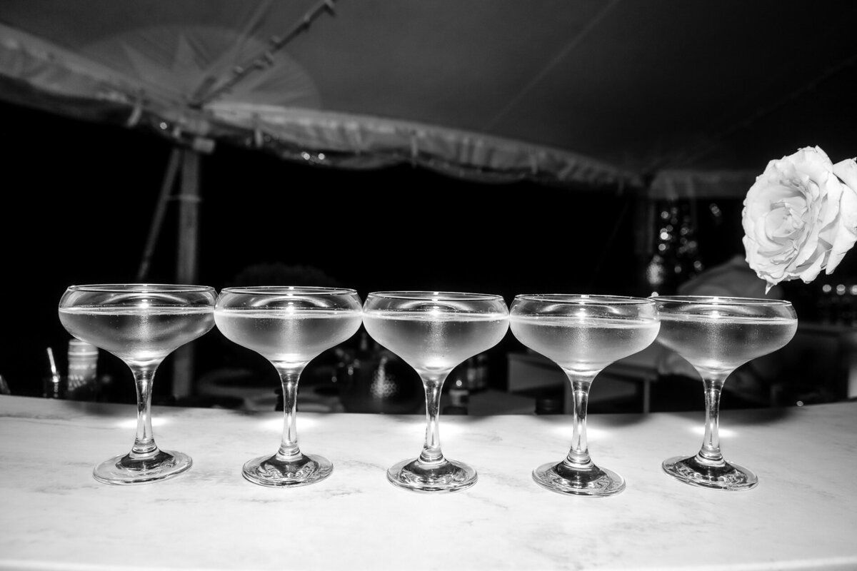 Redleaf Wollombi film wedding photography-153