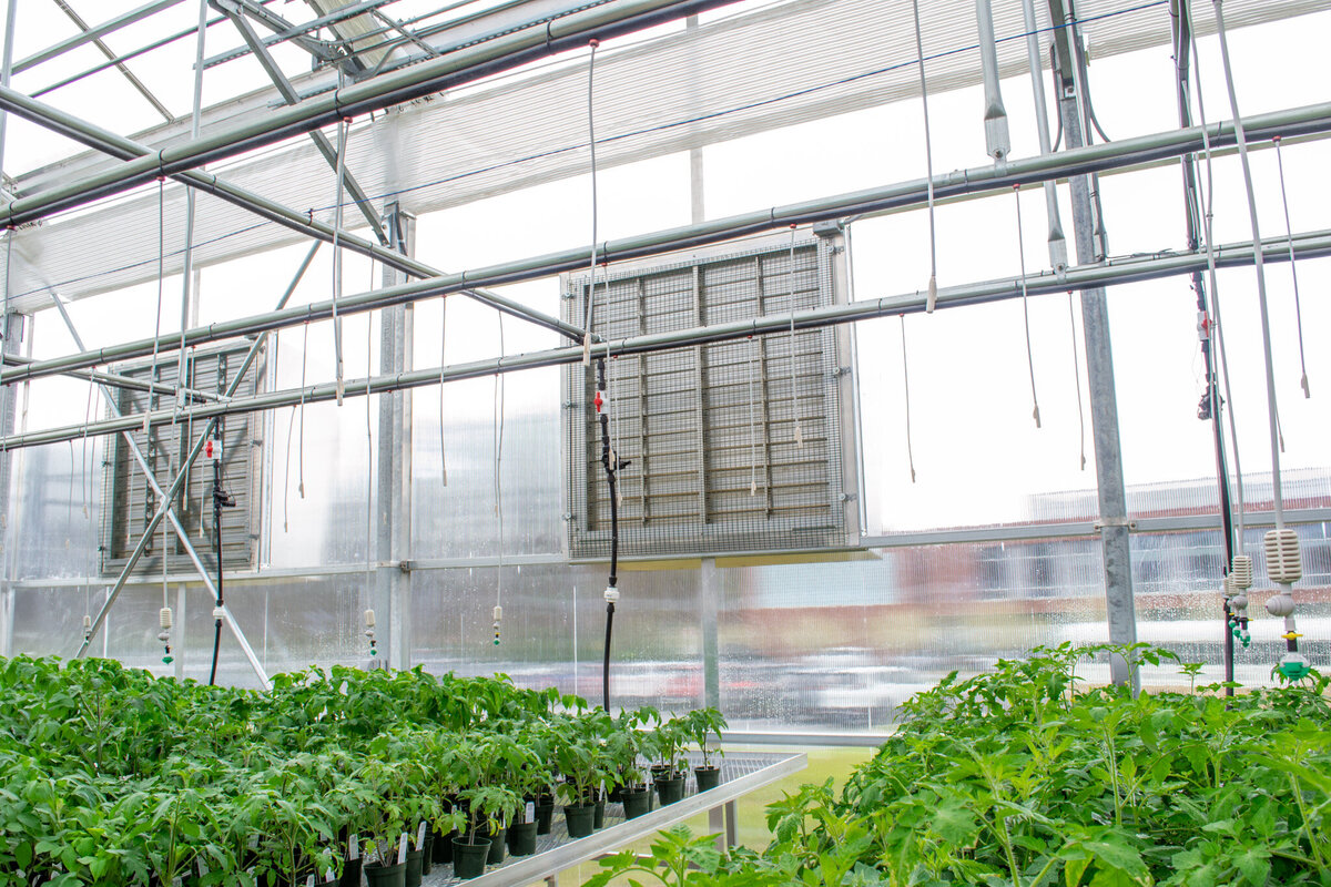 BRCC Greenhouse-05