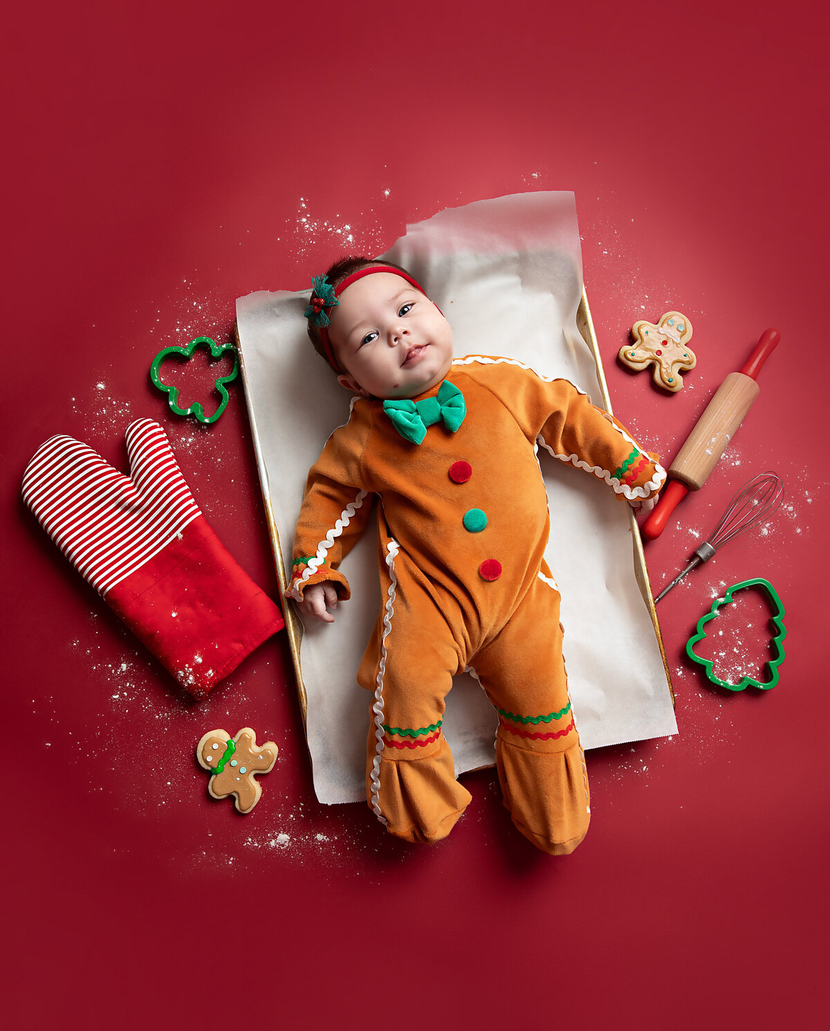 gingerbreaddani