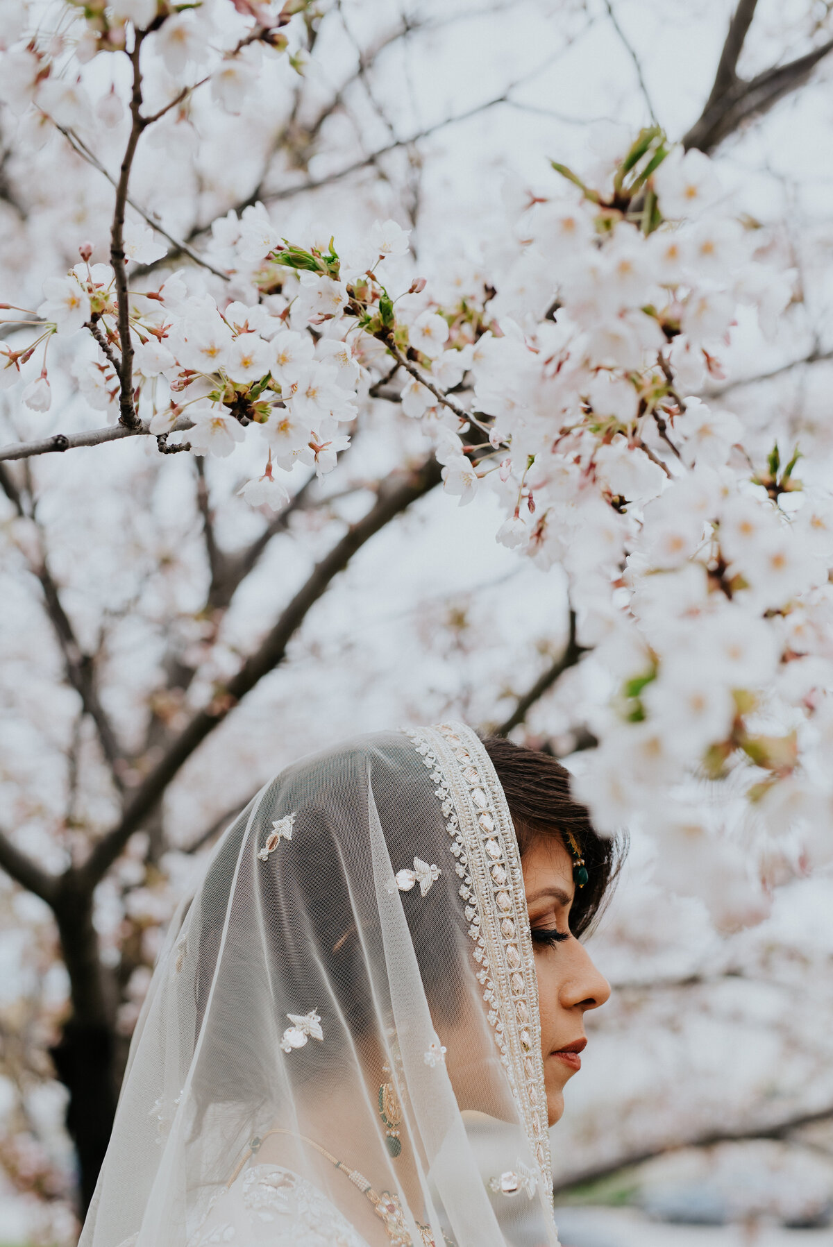 AmritaSinghPhoto-6651