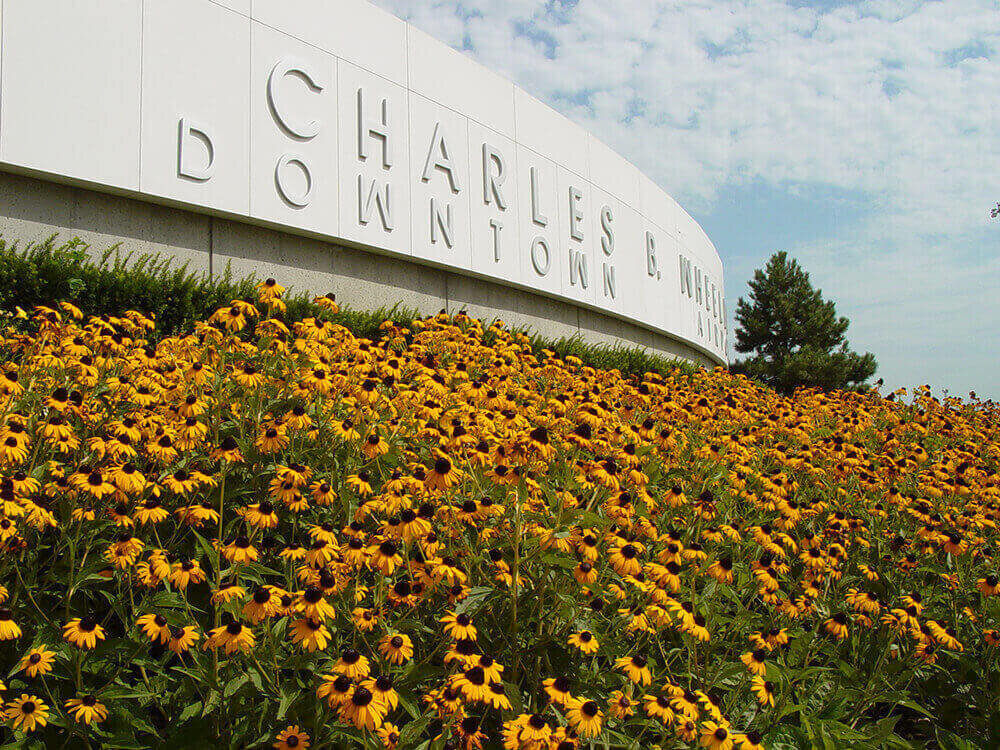 Commercial landscape company project in Kansas City