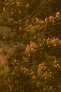 christina-deravedisian-Fdxqz7XPr7Y-unsplash