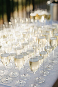 Emma&amp;Jonathan_CLARAMORTENSENPHOTOGRAPHY-538