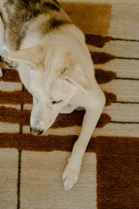 JillGuin_UnderdogsLB058