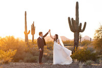 dancing-cactus