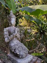 Habitual Yoga Space - Forest buddha-2