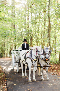 ElizabethMcCravy-EMShop-Rustic White- Venue25