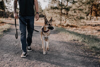 Dog Walking-1