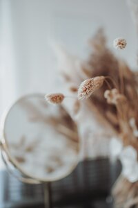 jasmin-ne-1aVDax72ir4-unsplash