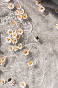 camille-brodard-ck5lgZfvrt8-unsplash