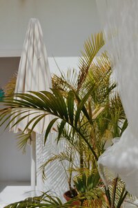 federica-giusti-WarnrADBVDw-unsplash