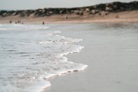 alejandro-luengo-AVx97wNDrec-unsplash