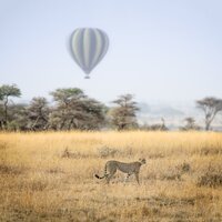 hu-chen-4YUH5FbpN-Y-unsplash