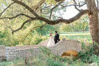 fallback shared on Invalid Date | Wedding couple portrait on stone bridge in Forest Park