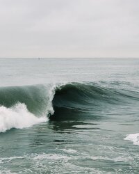 pexels-adriano-brodbeck-4737039