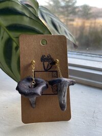 Colorado Mushroom Jewelry