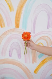 alexandra-lammerink-51mGz4OKUJs-unsplash