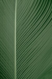 omid-armin-FnZKE3owM1o-unsplash