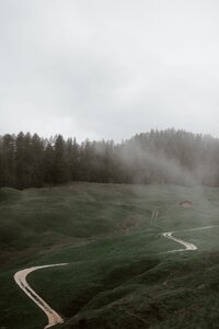 pexels-eberhard-grossgasteiger-4406331