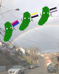 Millvale Pickle Pride 2
