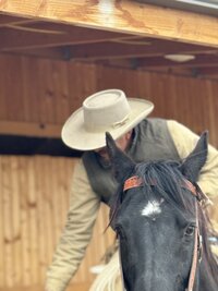 Ramon Castro - Horse Trainer 7