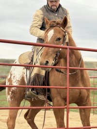 Ramon Castro - Horse Trainer 23