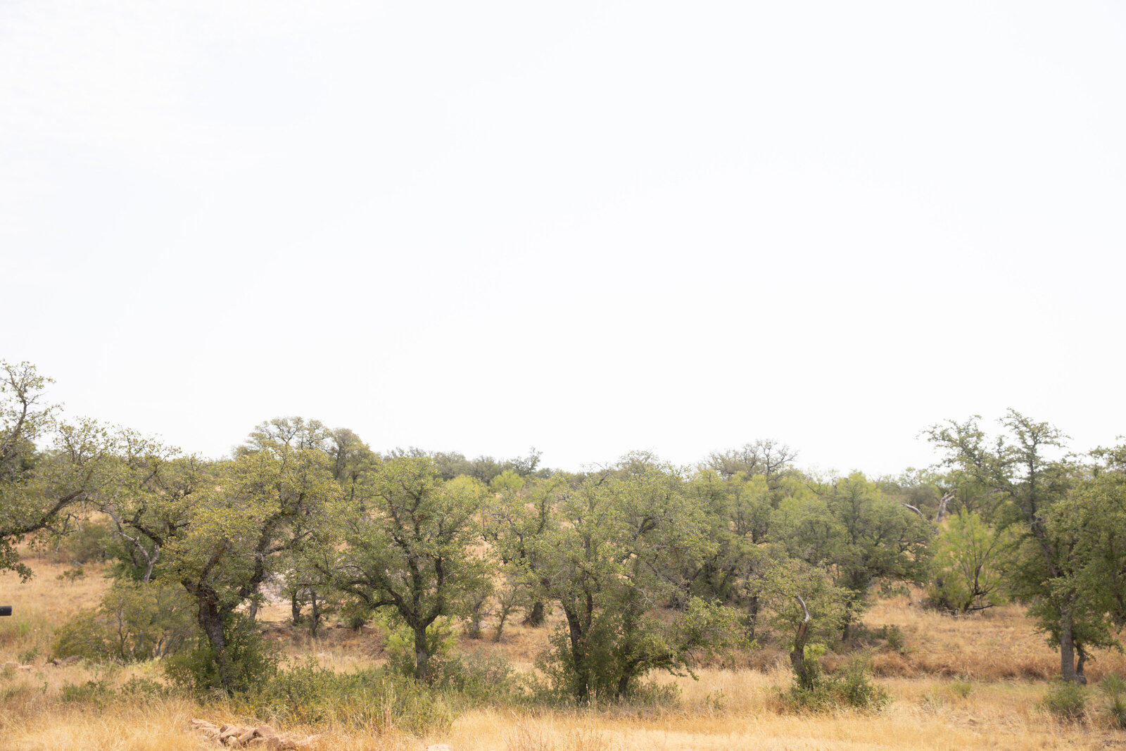 Best Airbnb in llano junebug outdoor-4
