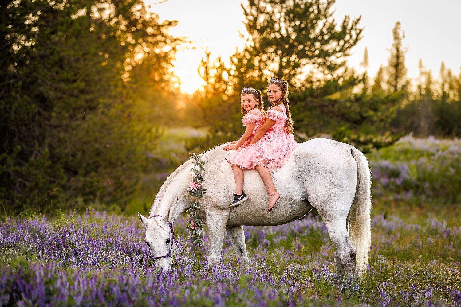 horseandrider_portraits_equine_sessions_photographer (13)