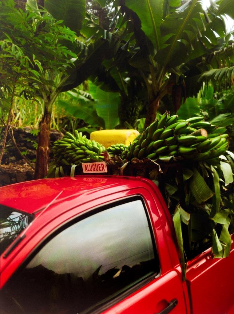 e592d59a-1ce7-4705-a5ae-c27099aac26c