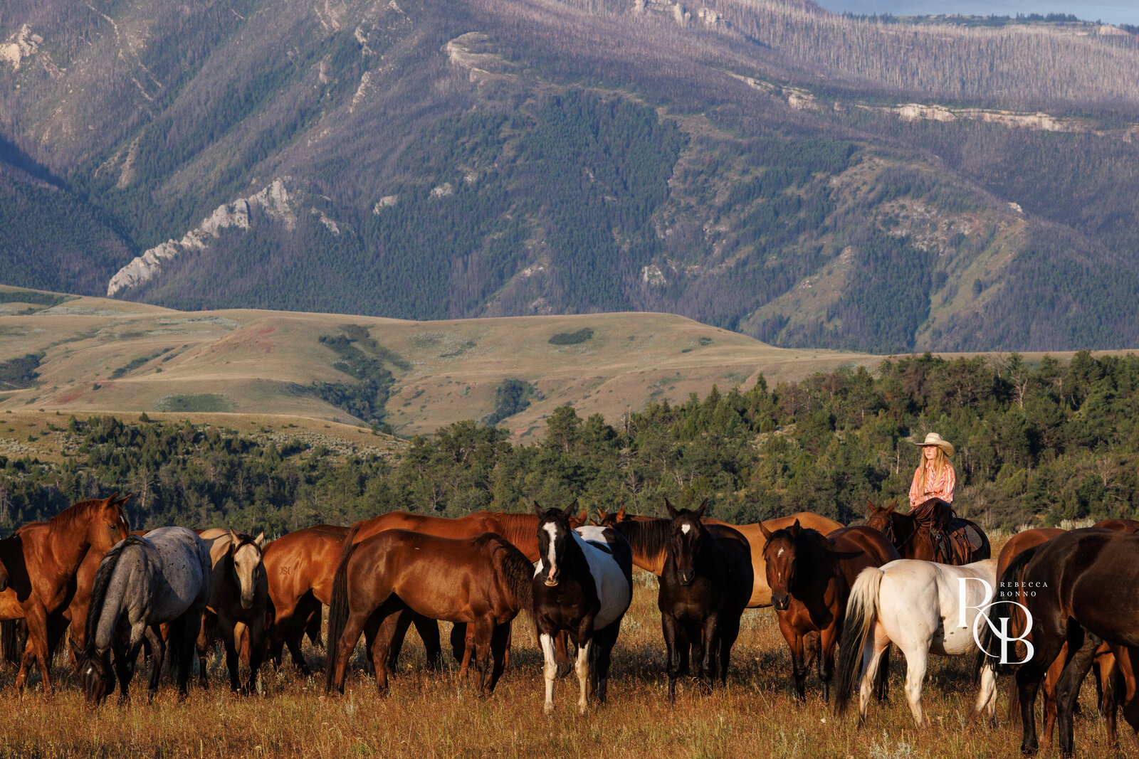 202507_dryhead _ranch_RBonno-100-46