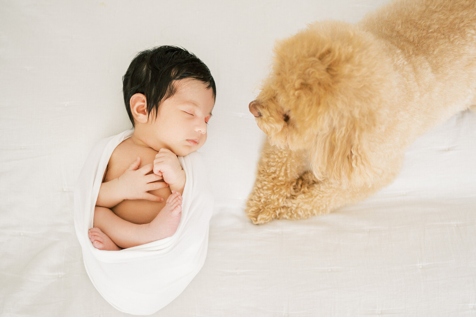 newborn-8 (12)