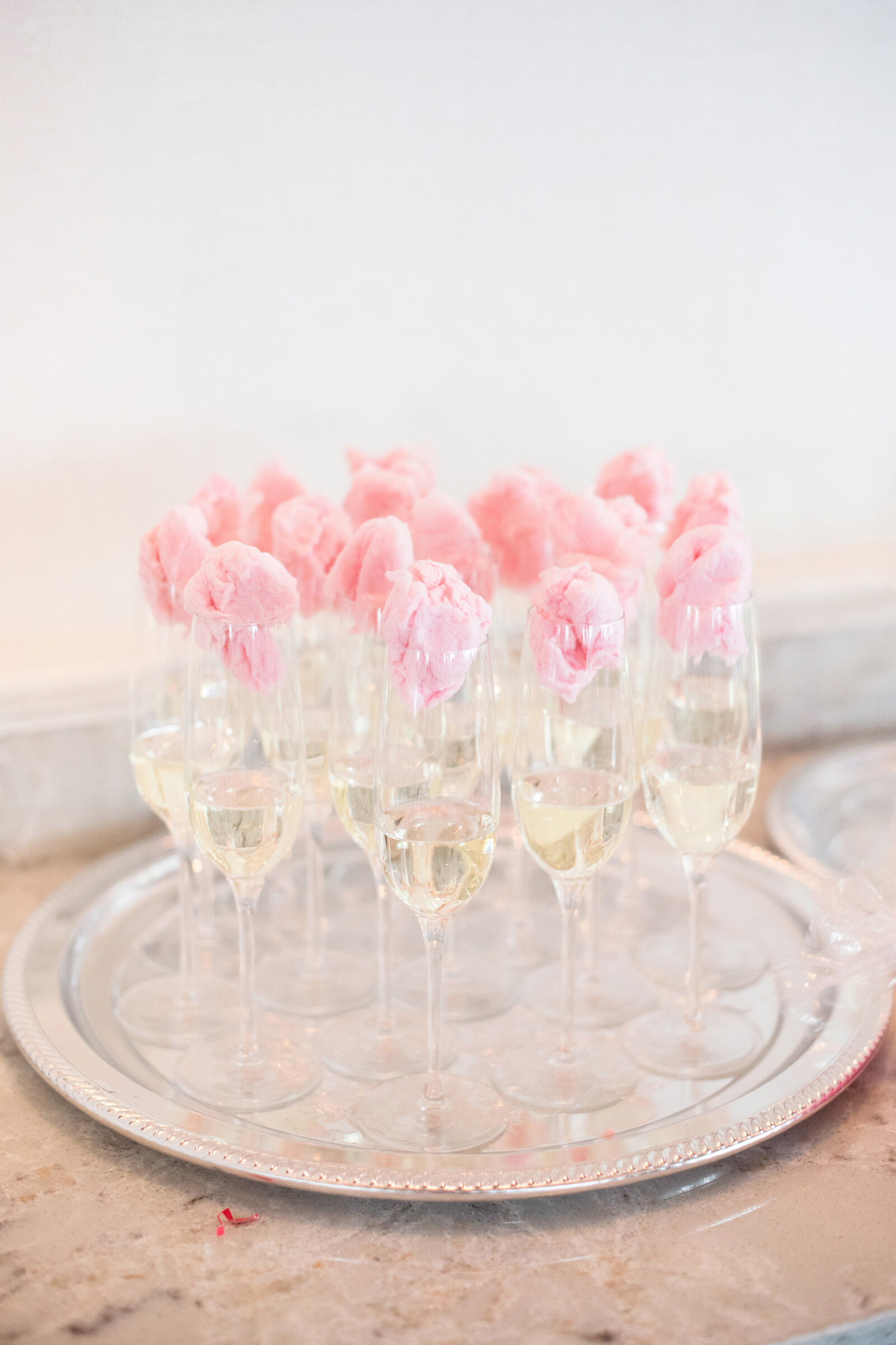 40-hudson-valley-bridal-shower-photographer