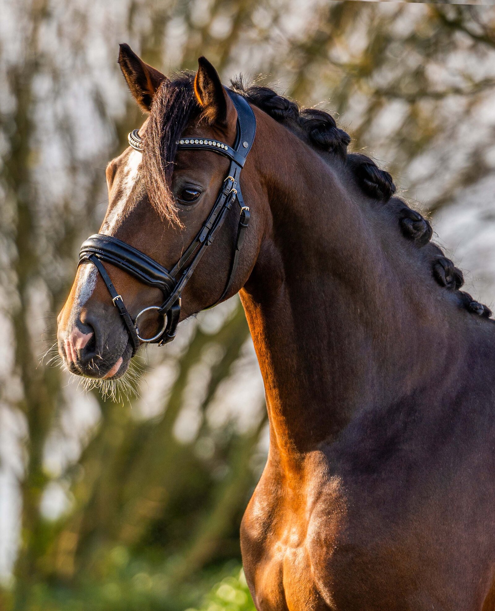 Portretfoto door Cheyenne Vlottes (9)