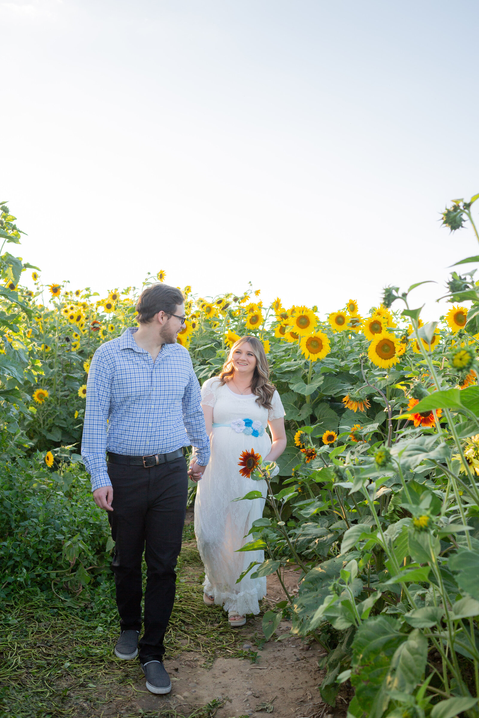 Seattle Wedding Photographer captures photo of couple expecting baby walking through sunflower field