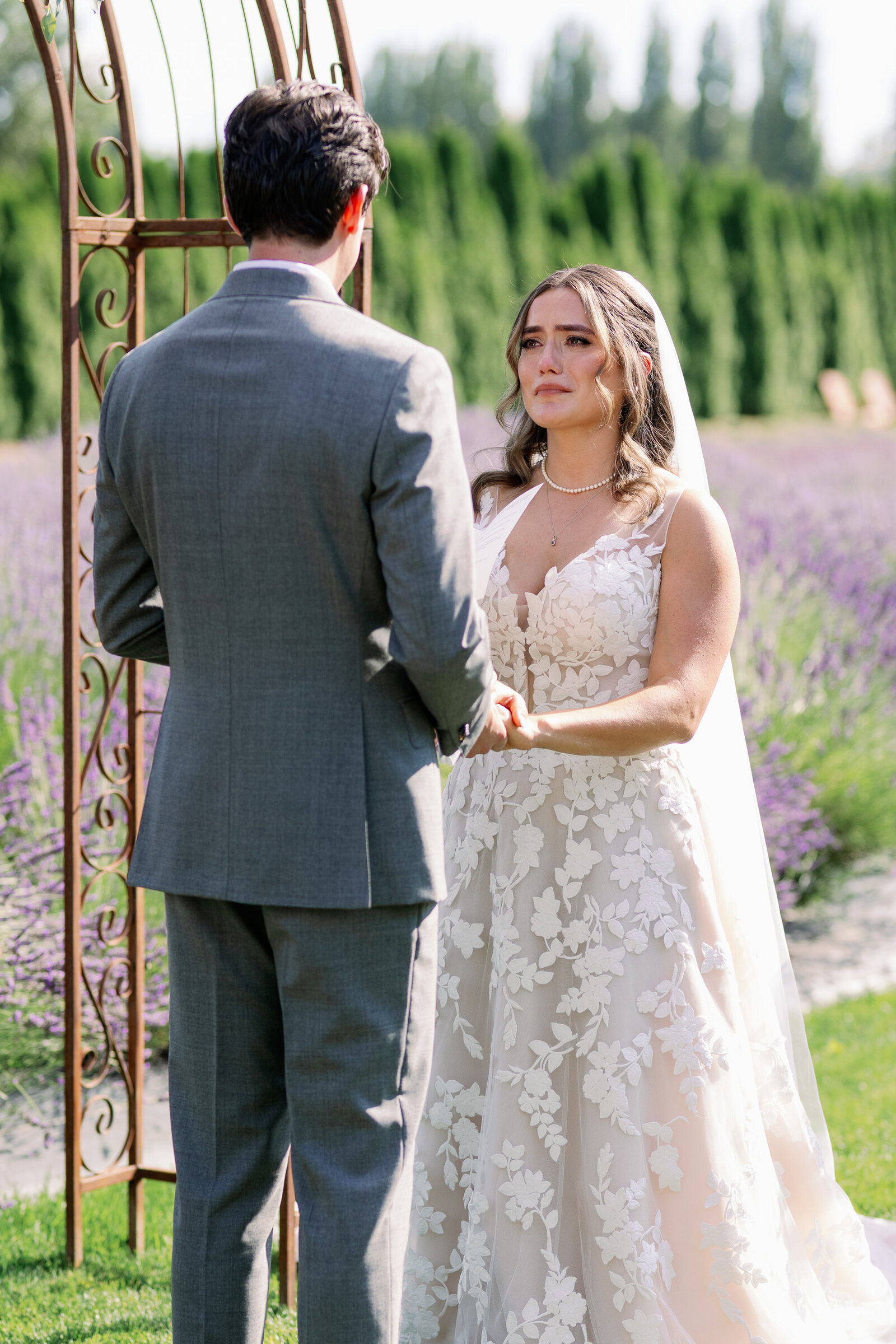 woodinville-lavender-wedding-photographer-66