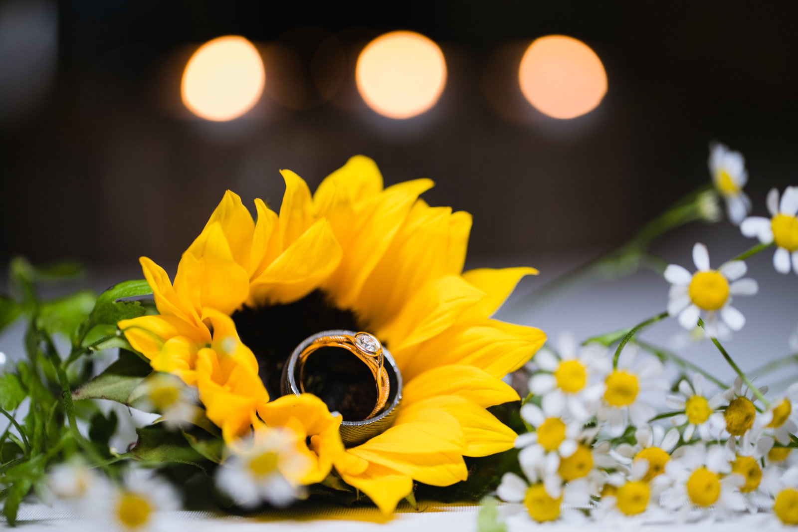 Norton Wedding-739