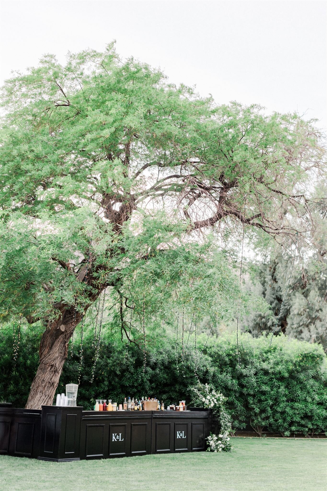 Katie Austin Lane Armstrong Wedding-Valorie Darling Photo-108_websize