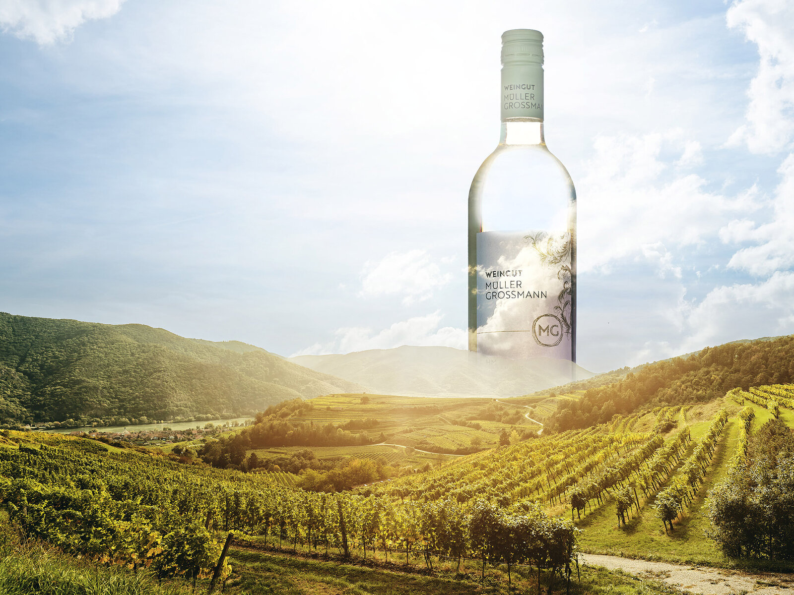 Fotomontage mit Weinflasche über Landschaft mit Weingärten in hügeliger Region bei Sonnenschein – visuelle Komposition mit Naturbezug.