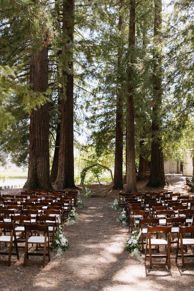 Ceremony details in the redwoods by northern california wedding photographers