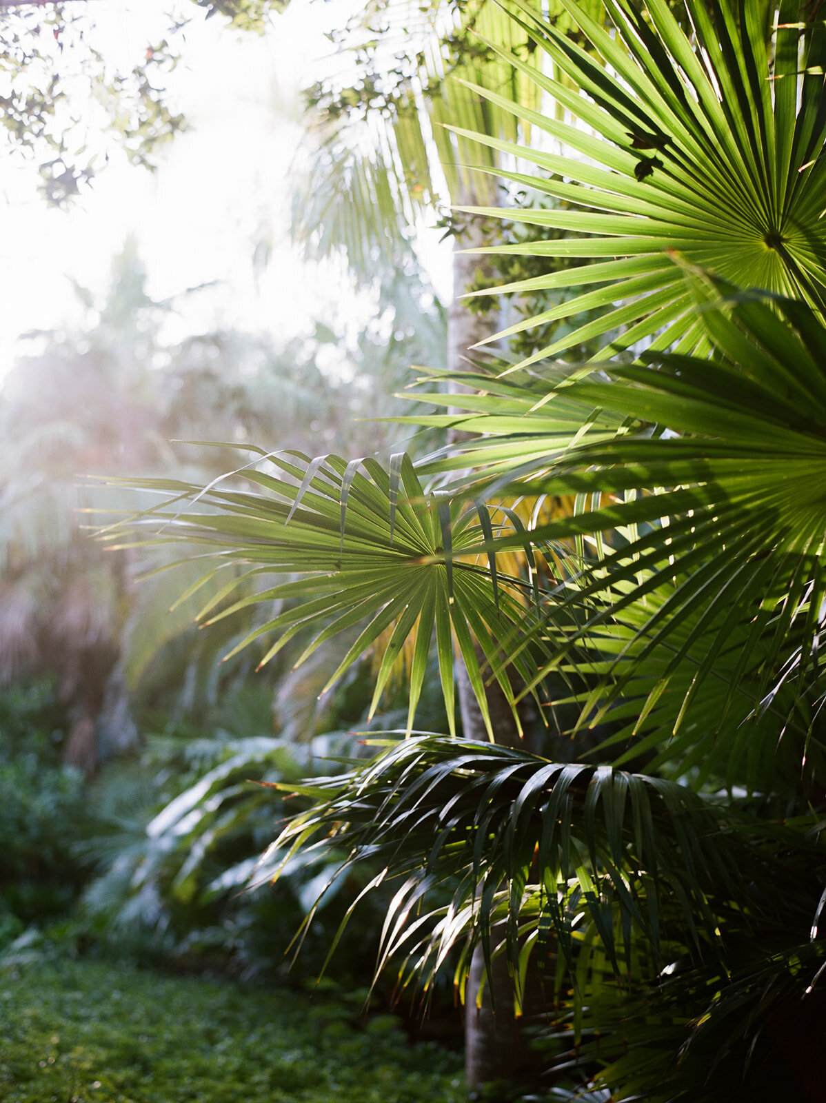 AmandaYoung.Mexico.SB00028