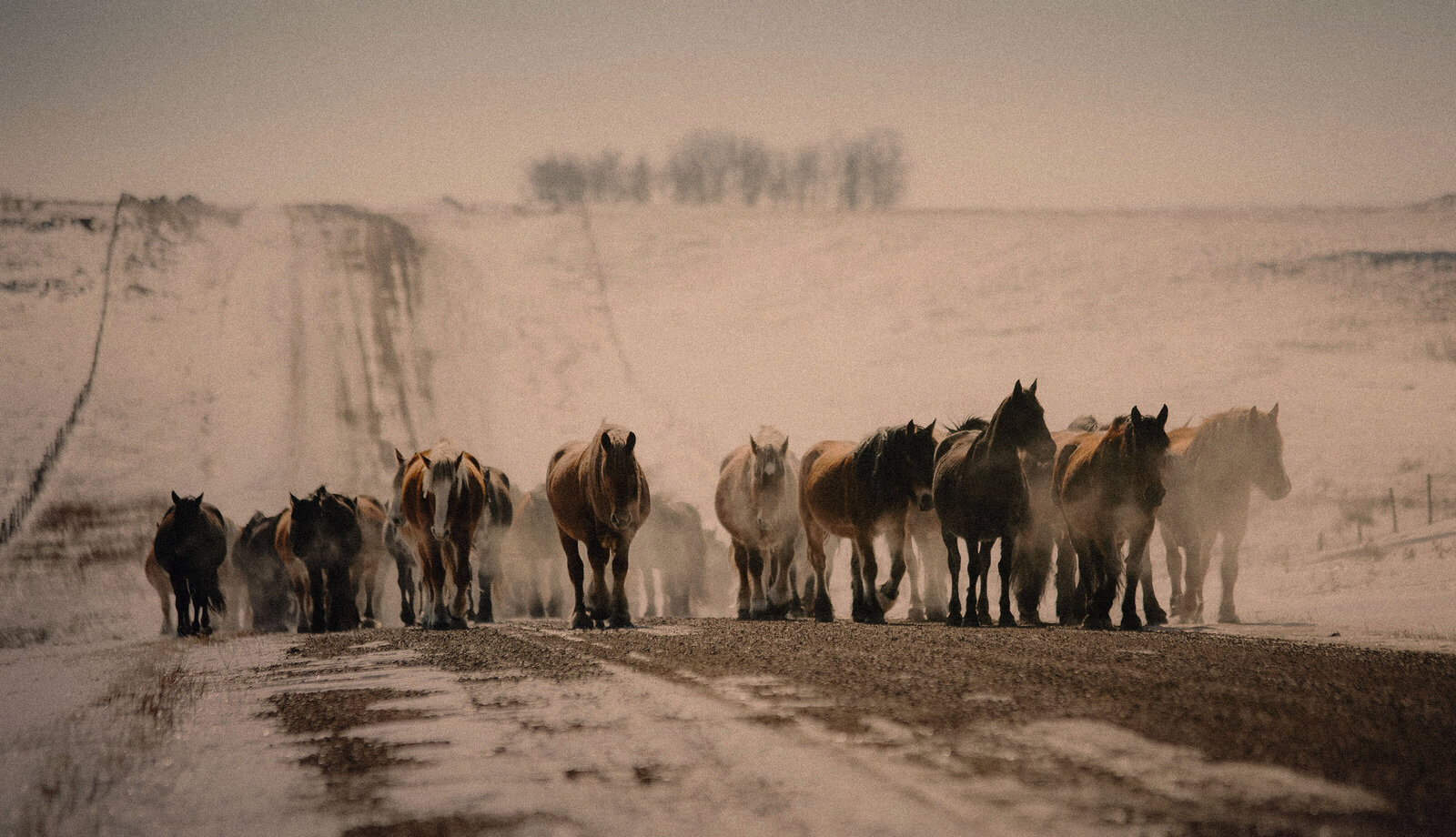 Road Home 