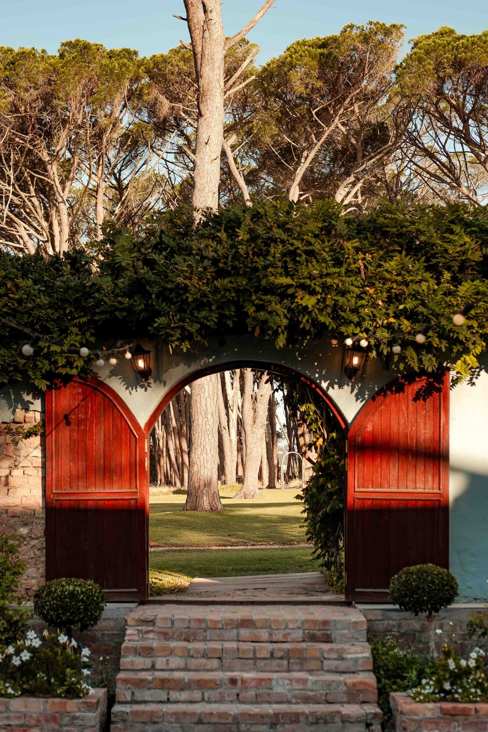 Destination-Wedding-Photographer-Cape-Town-FOMO-Fotografie-161