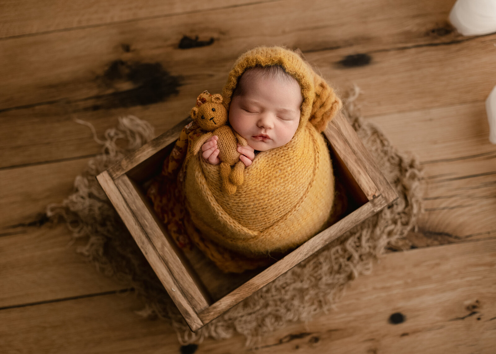 newborn baby girl in a cute prop set up in my loveland studio