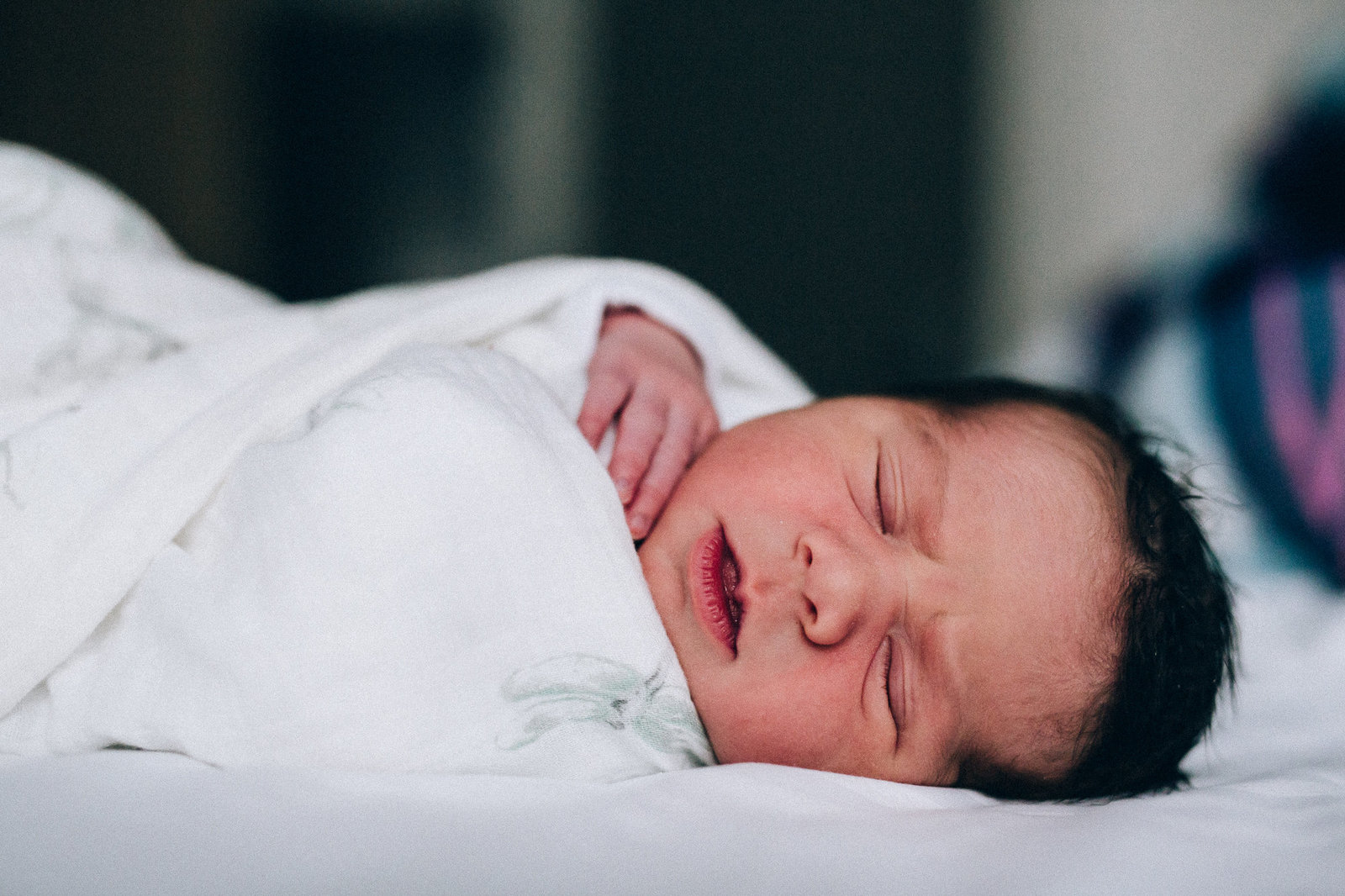 TwigandFawnPhotography-1-7